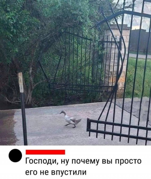 Мем, Леонид Хлыновский