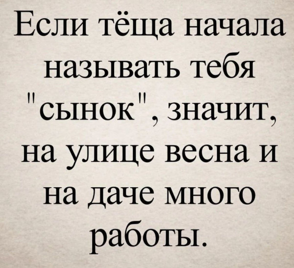 Мем, Ashmedai