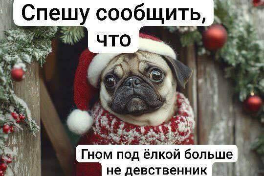 Мем, Ashmedai