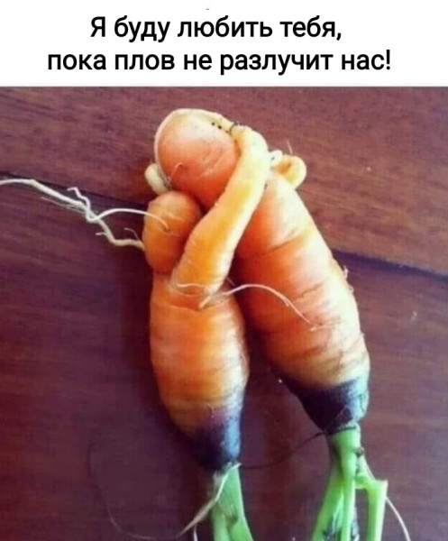 Мем, Рысь Мем, Рысь