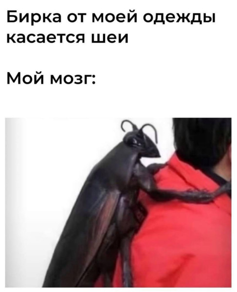Мем, Антиклептократ