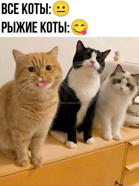 Мем, Антиклептократ