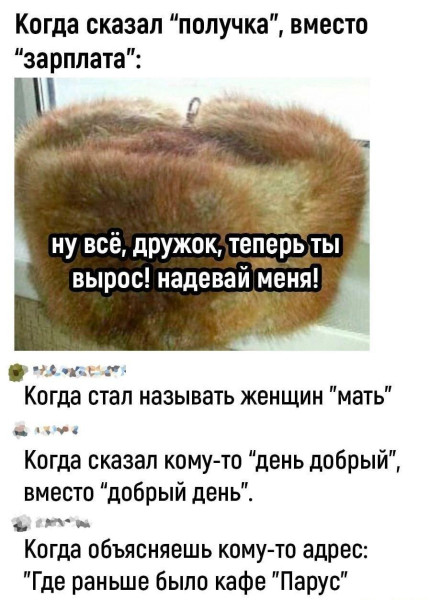 Мем, Антиклептократ
