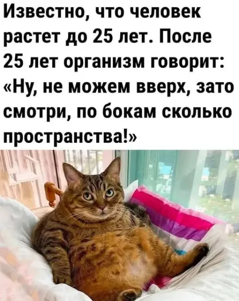 Мем Мем