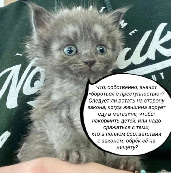 Мем, Diogenes Мем, Diogenes
