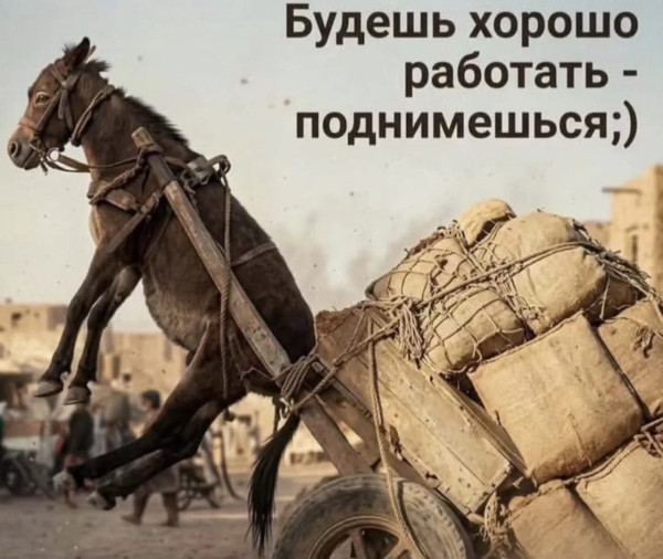 Мем, Kedr72 Мем, Kedr72