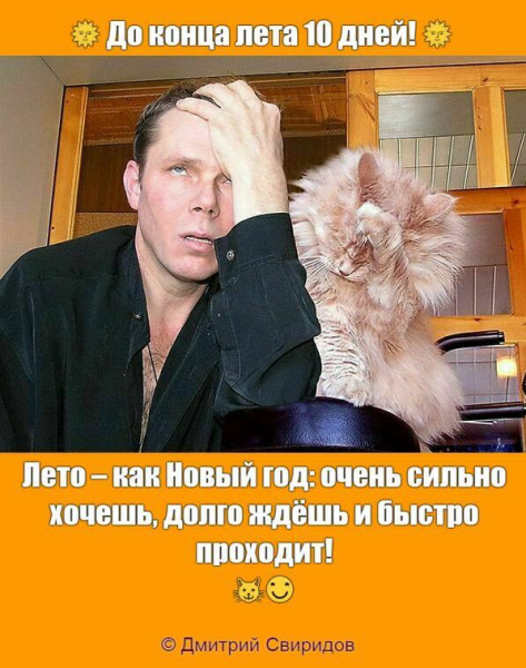 Мем Мем