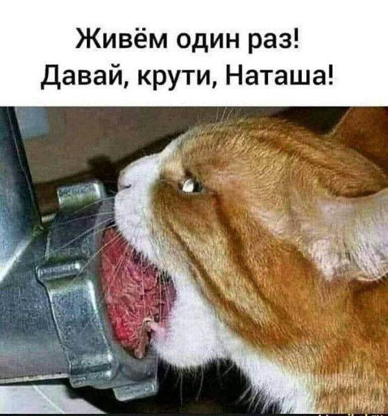 Мем, Hendry
