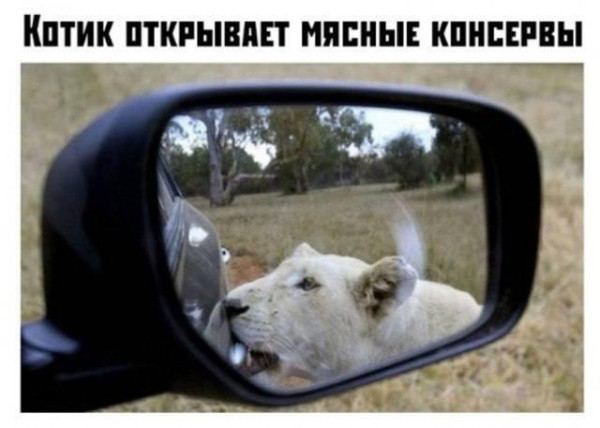 Мем, Mghost Мем, Mghost