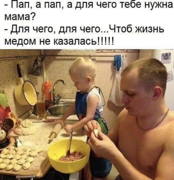 Мем: мёдом, Антиклептократ Мем: мёдом, Антиклептократ
