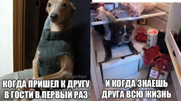 Мем: пришёл, Антиклептократ Мем: пришёл, Антиклептократ