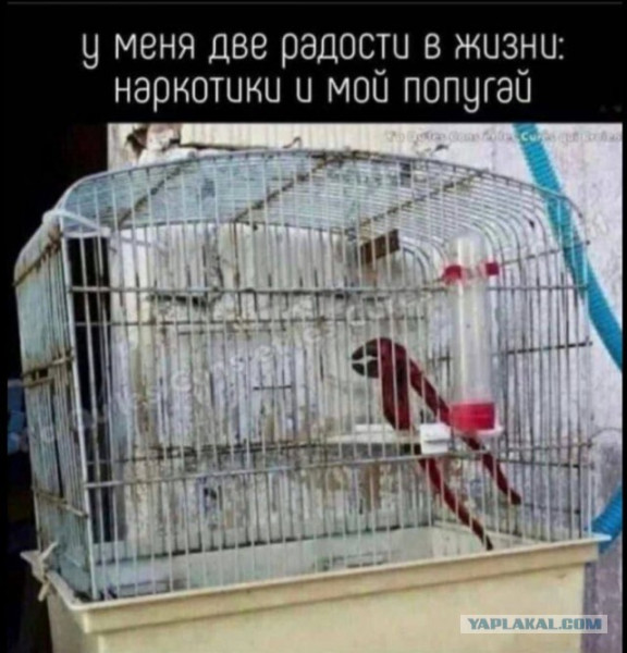 Мем
