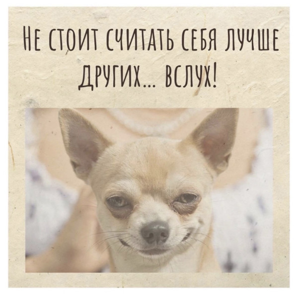 Мем, Антиклептократ Мем, Антиклептократ