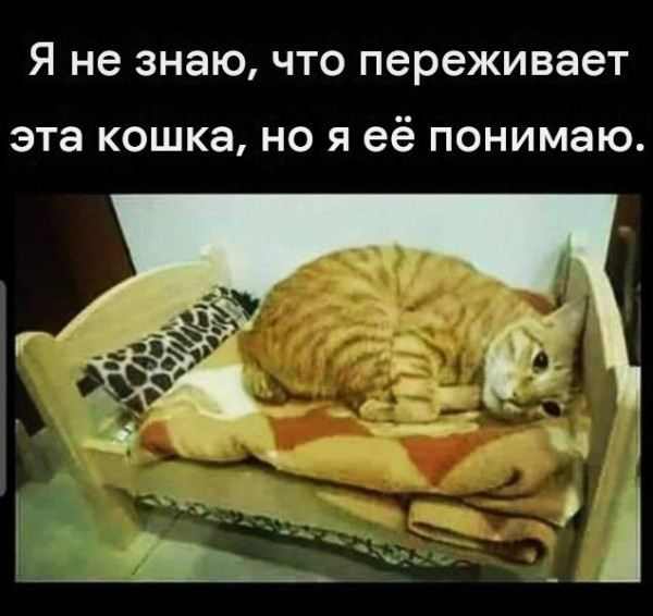 Мем: Экзистенциальный кризис. Мем: Экзистенциальный кризис.
