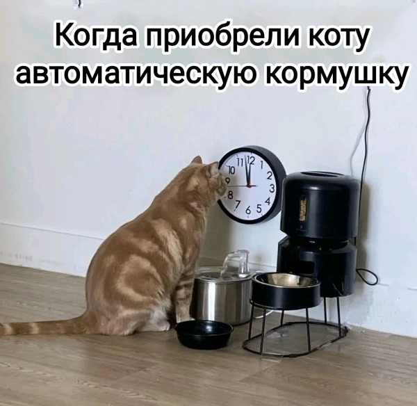 Мем, Рысь Мем, Рысь
