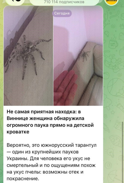 Мем Мем