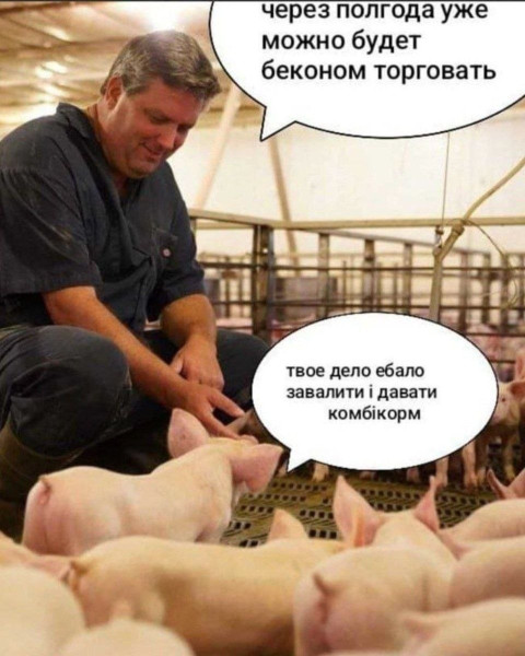 Мем Мем