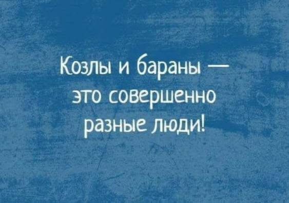 Мем, Ashmedai Мем, Ashmedai
