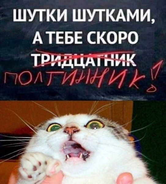 Мем, Антиклептократ Мем, Антиклептократ