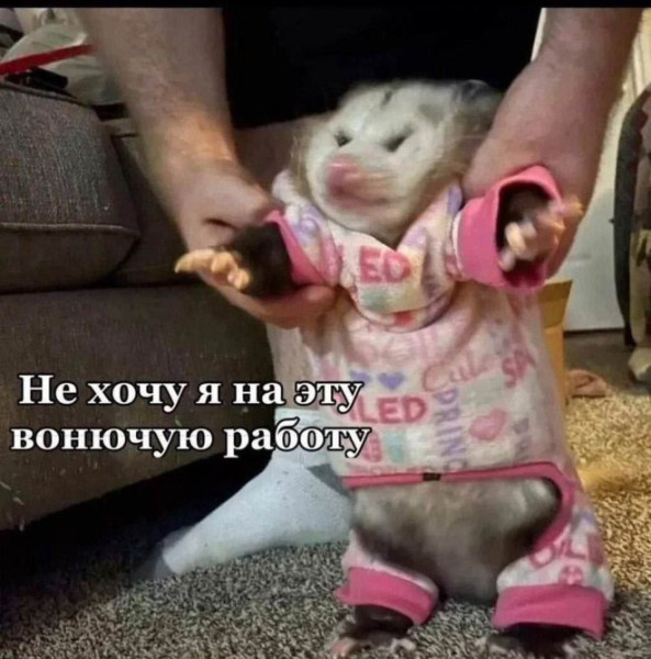 Мем, Антиклептократ Мем, Антиклептократ