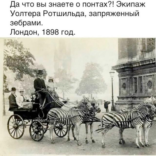 Мем, Антиклептократ Мем, Антиклептократ