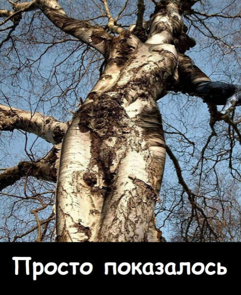 Мем, Лис Интересный Мем, Лис Интересный
