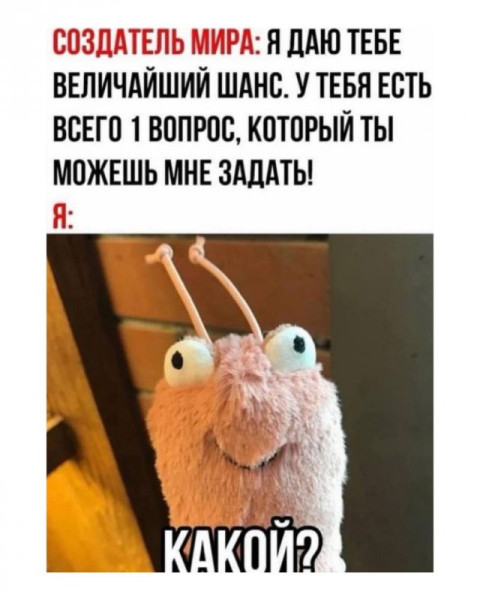 Мем, Антиклептократ Мем, Антиклептократ