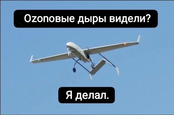 Мем, Рысь