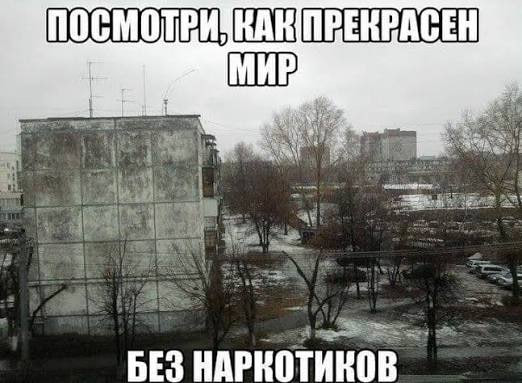 Мем, Максим Камерер