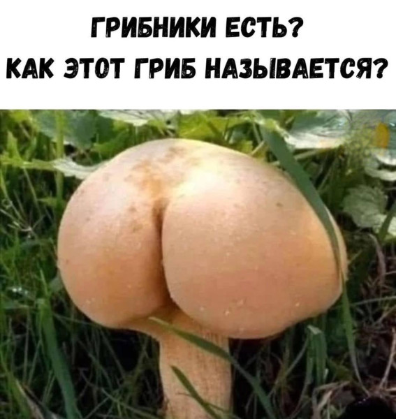Мем, Hendry