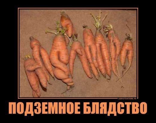 Мем, B8