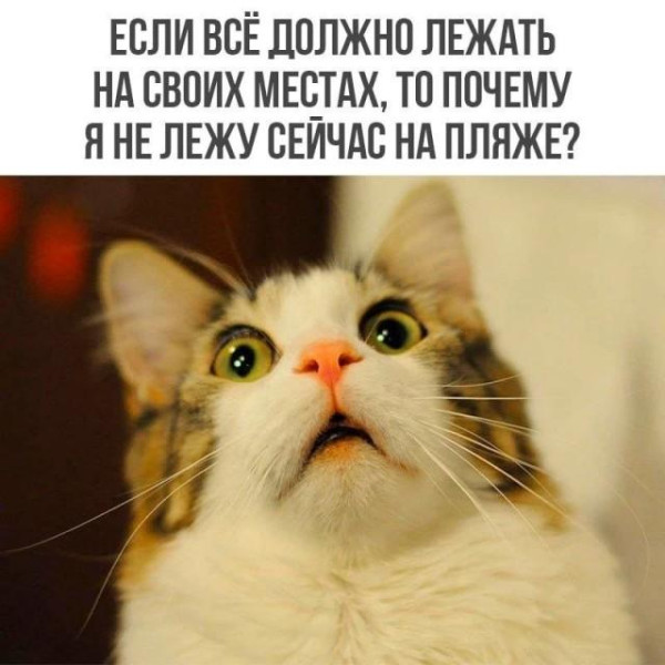 Мем, Антиклептократ