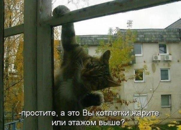 Мем, Антиклептократ Мем, Антиклептократ