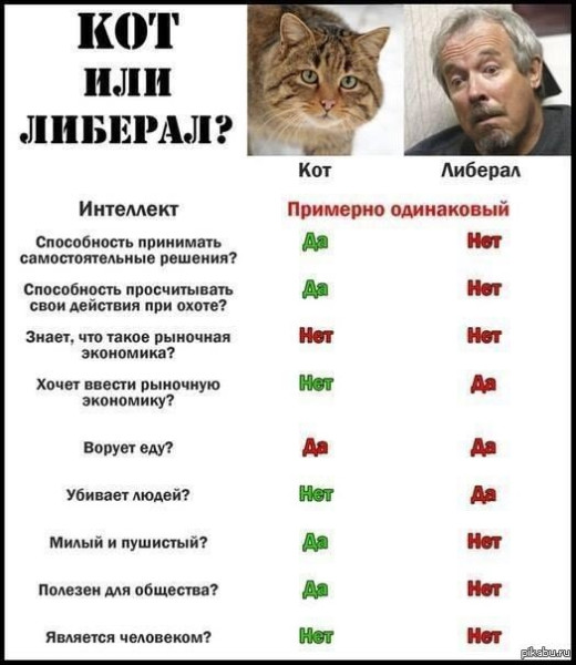 Мем, Mghost