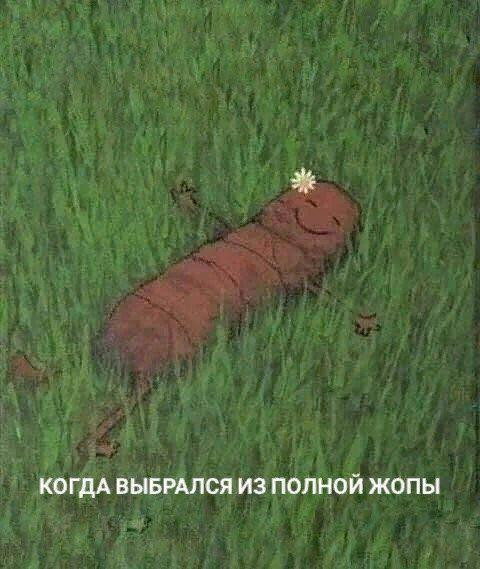 Мем, Ashmedai