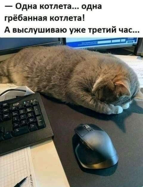 Мем: грёбаная, Антиклептократ Мем: грёбаная, Антиклептократ