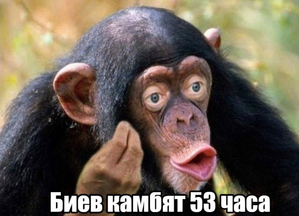 Мем: Вторая теорема Тарана, Правдоруб Адекват