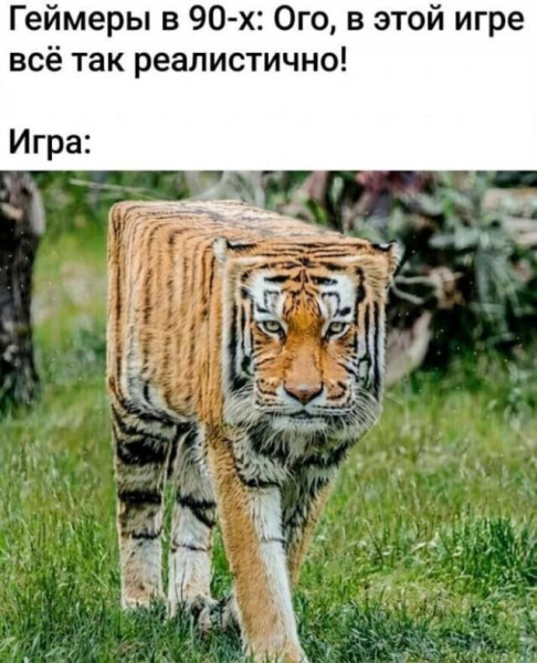 Мем, Антиклептократ