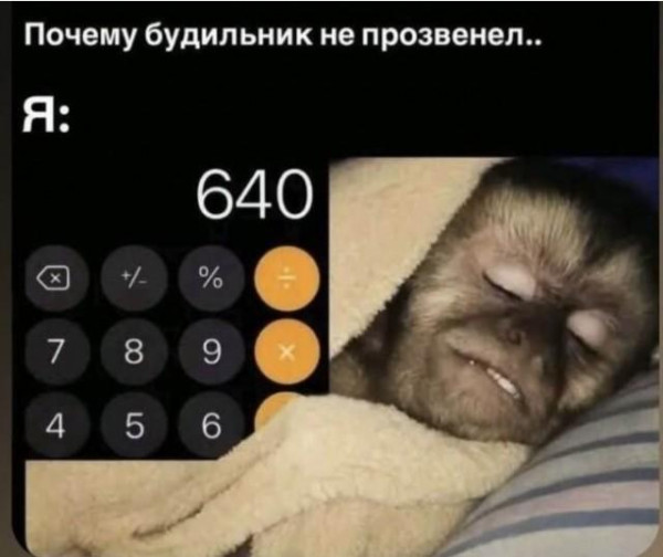 Мем, Антиклептократ
