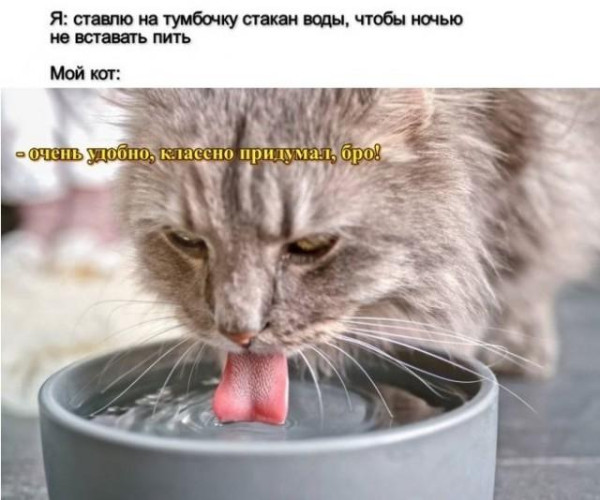 Мем, Антиклептократ