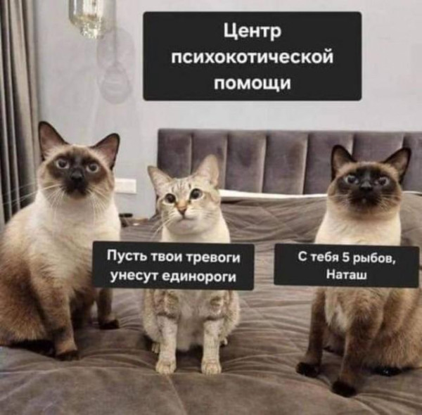 Мем, Антиклептократ