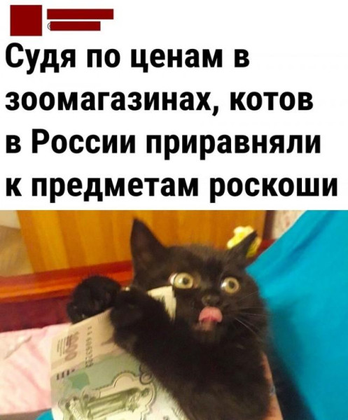Мем, Антиклептократ