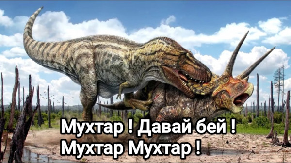 Мем: Мухтар, Даниил Колбасенко