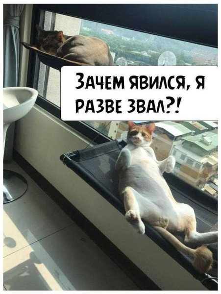 Мем, Антиклептократ