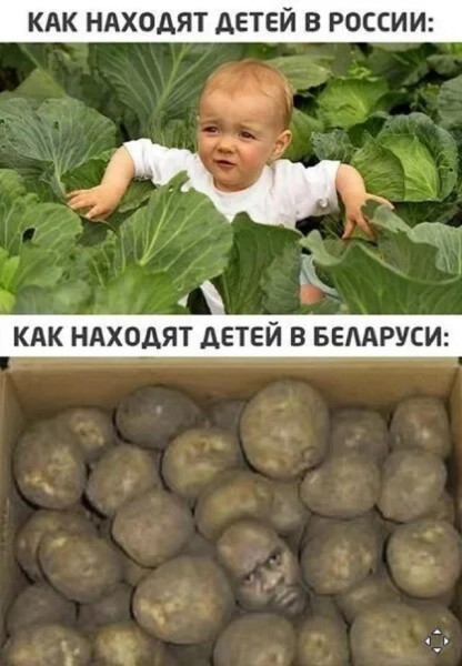 Мем, Антиклептократ