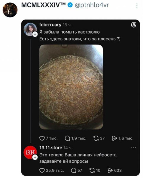 Мем, Антиклептократ