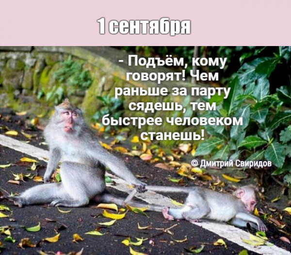 Мем Мем