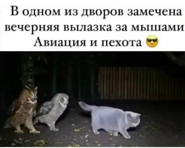 Мем, Антиклептократ Мем, Антиклептократ