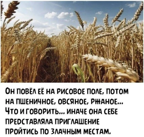Мем, Антиклептократ Мем, Антиклептократ
