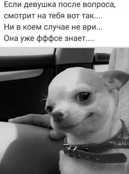Мем: фффсё, Антиклептократ